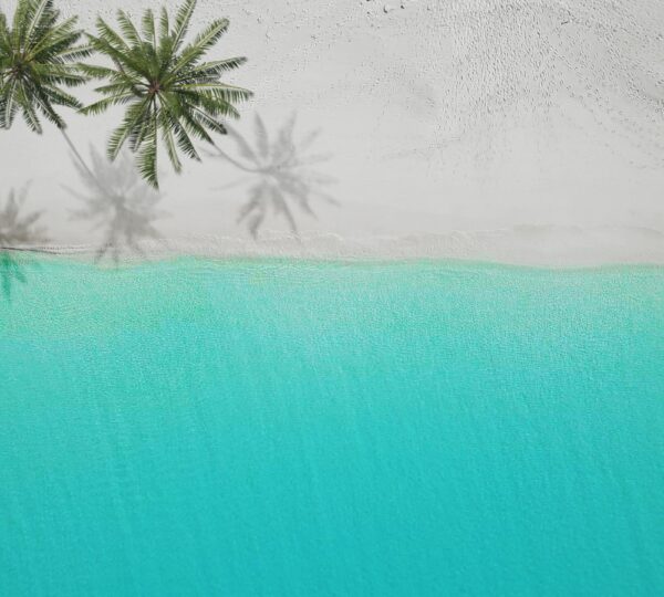 image of white sand beach and crystal clear aqua water along with 2 palm trees on the left side of the beach