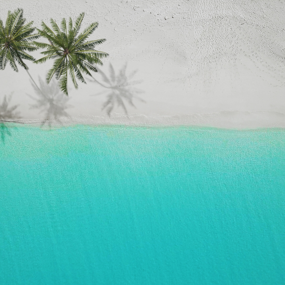 image of white sand beach and crystal clear aqua water along with 2 palm trees on the left side of the beach